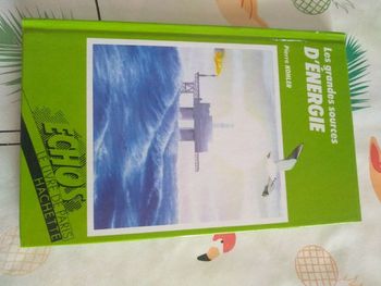 Livre Echos L'énergie