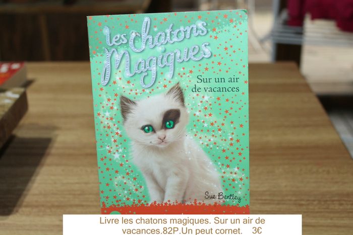 Livre les chatons magiques. Sur un air de vacances.