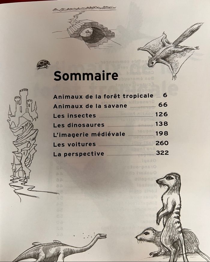 Dessiner pas à pas - photo numéro 3