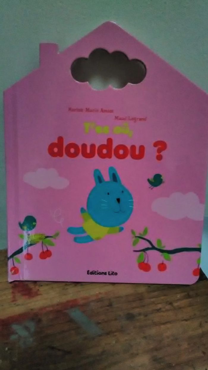 neuf livre  '' t'es ou doudou '' lito