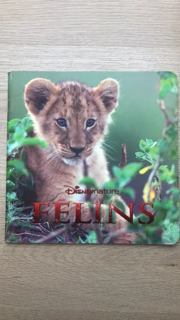 Livre Félins