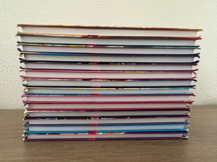 Collection livres Lolirock - photo numéro 3