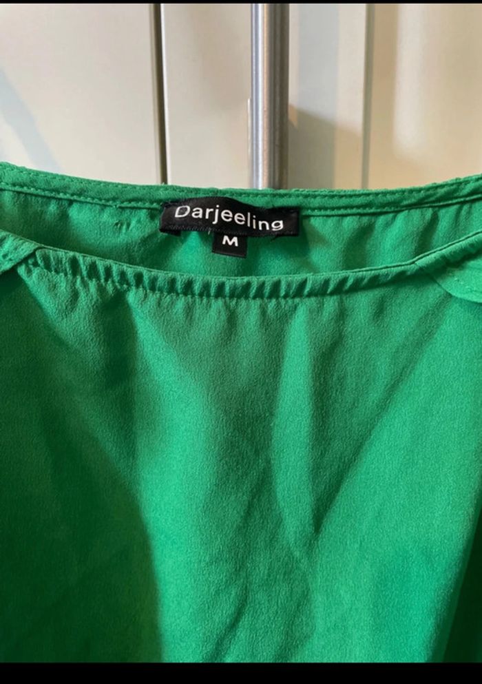 Robe verte - photo numéro 3