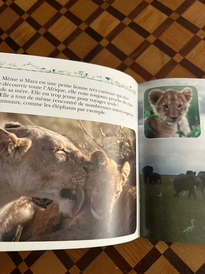 Livre Disney Nature - Félins - photo numéro 4