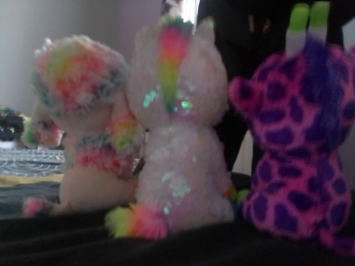 Lot peluche ty - photo numéro 3