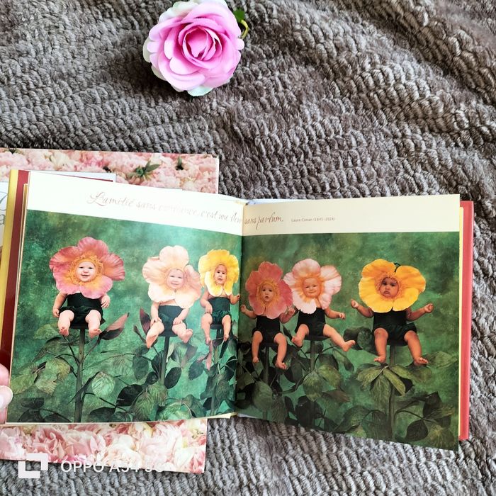 2 livres Anne Geddes - photo numéro 9