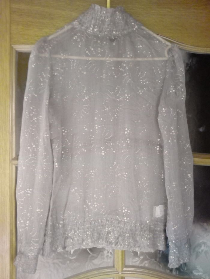 Blouse grise et dorée transparente