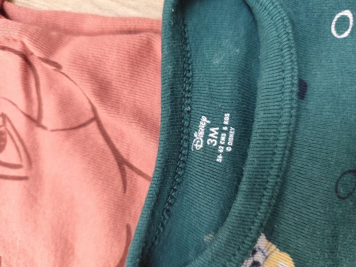 Bodys le roi lion - photo numéro 5