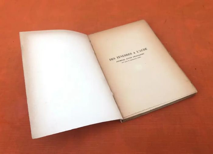 C. de Saint Pierre Des ténèbres à l' aube Journal d' une Française (10 Août-10 Septembre) (1945) - photo numéro 3