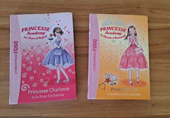 Lot de 2 tomes Princesse Academy