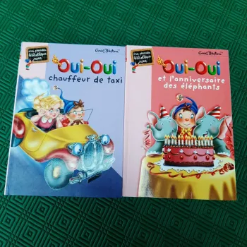 Lot 2 livres Oui-Oui Bibliothèque Rose