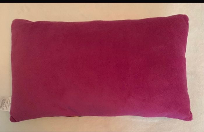 Coussin reine des neiges - photo numéro 2