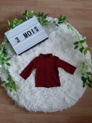 Sous-pull bordeaux