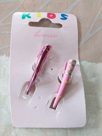 Lot pinces  à cheveux
