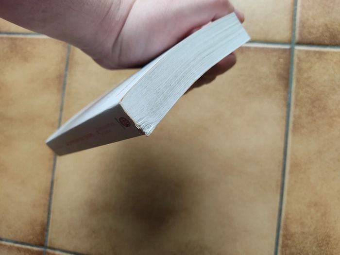 La grammaire des gestes - photo numéro 3