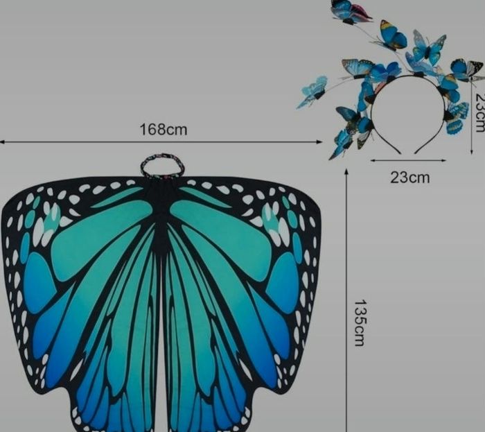 Déguisement papillon - photo numéro 5