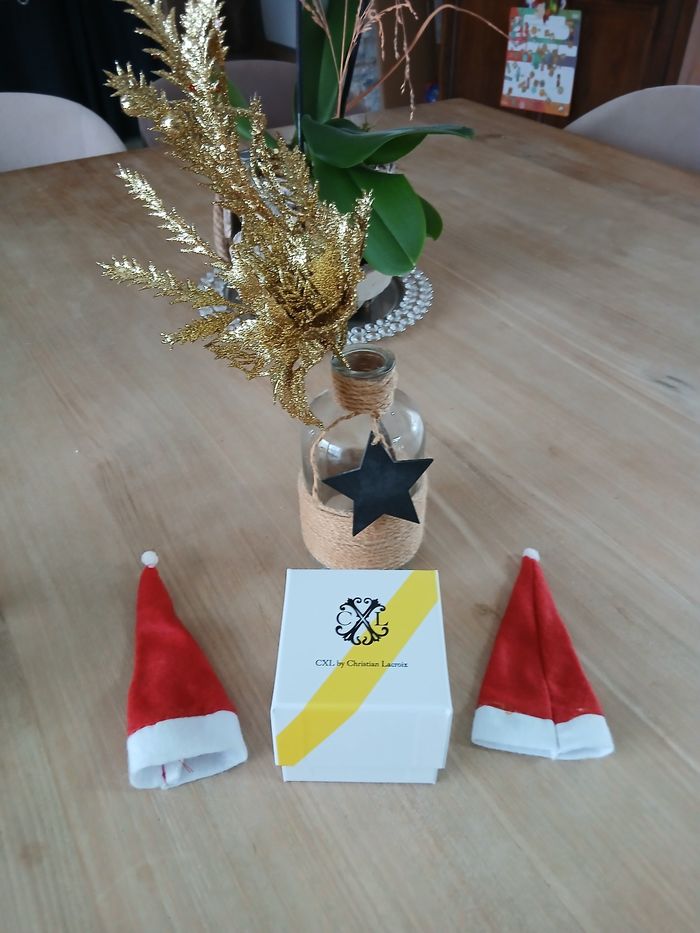 Montre Homme neuve Christian Lacroix 🎅 - photo numéro 3