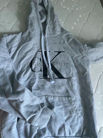 Sweat à capuche gris