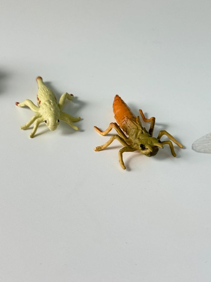 Cycle de vie: Figurines de la Libellule (Langage, sciences.) - photo numéro 8