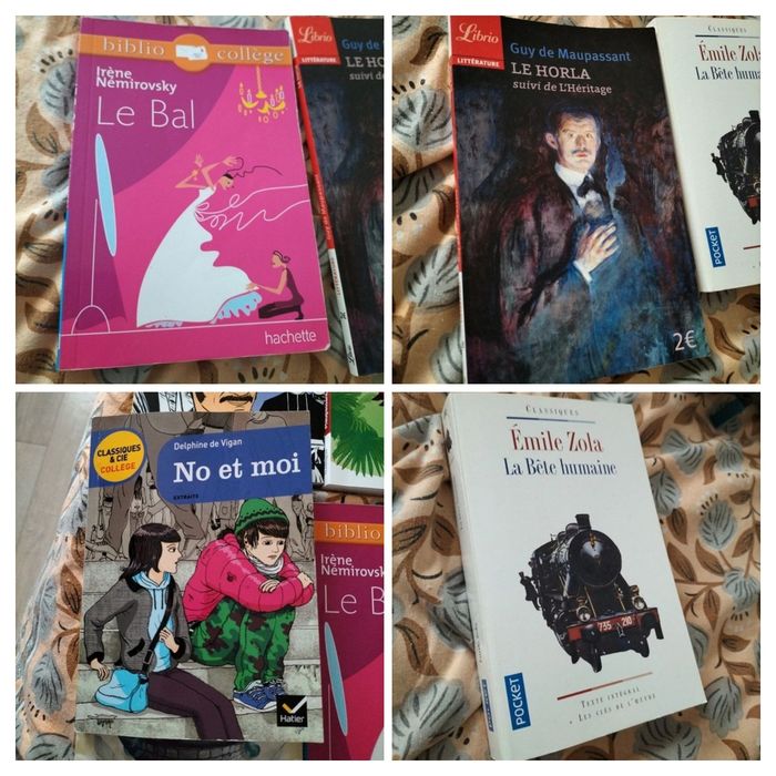 Ensemble de livres classiques Collège - Lycée - photo numéro 4