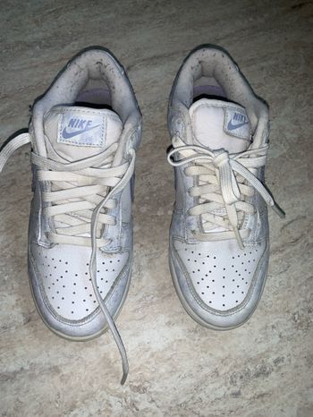baskets  Nike Dunk 36,5
