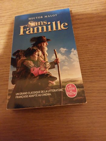 Hector malot sans famille 