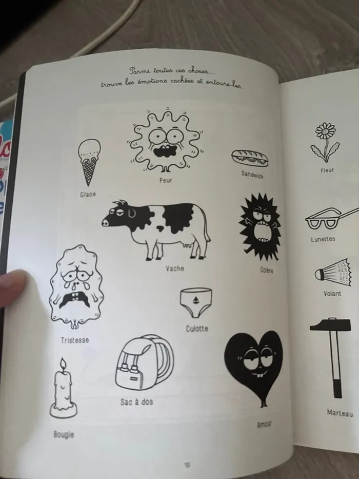 Mes émotions -les cahiers Filliozat - photo numéro 3