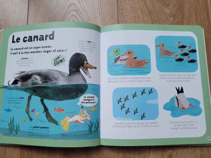 Dookeo livre des animaux 2-5 ans - photo numéro 8