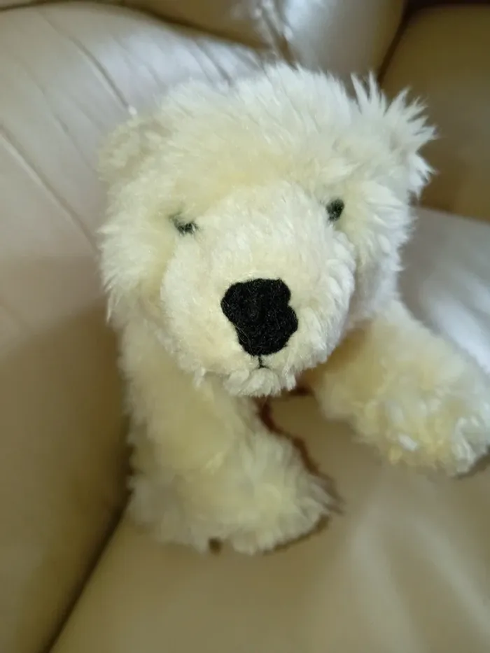 Petit ours blanc - photo numéro 7