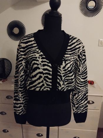 Gilet zebre
