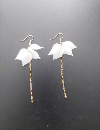 Boucles d'oreilles