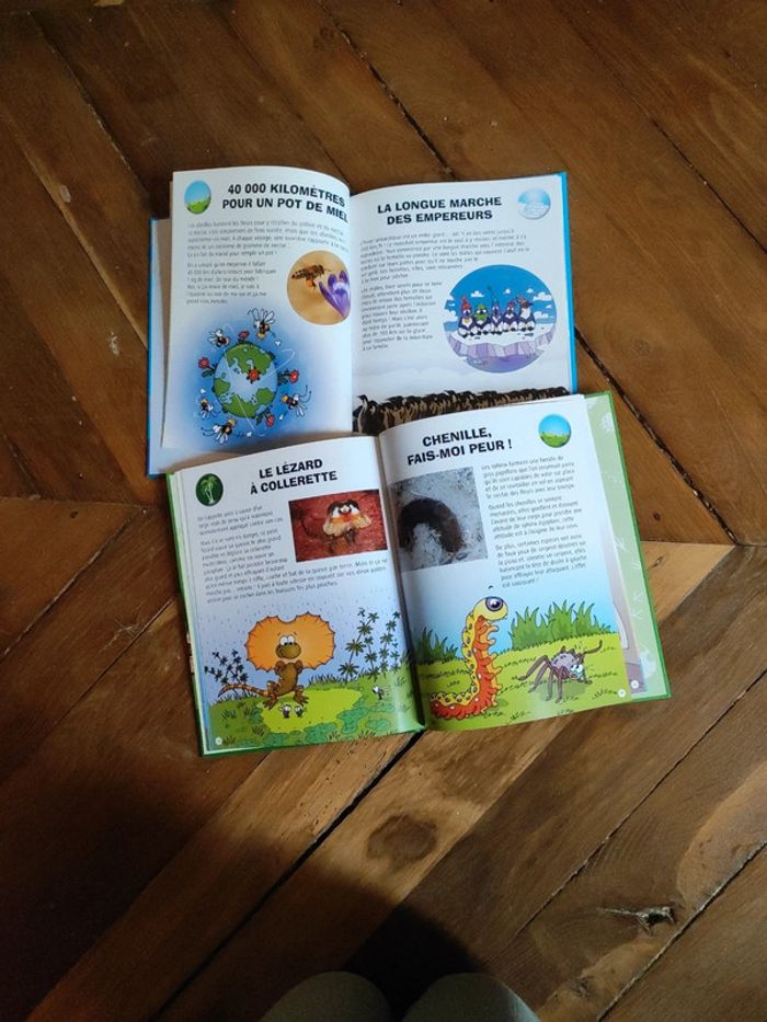 Lot " C'est fou ! " - photo numéro 3