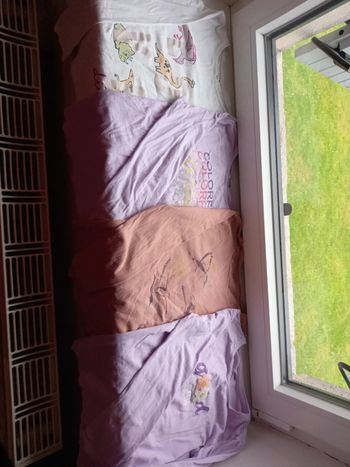 T-shirt lot