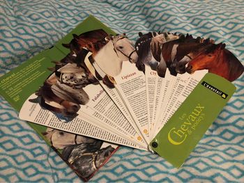 L’éventail Les chevaux et poneys