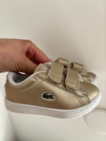 Lacoste 20
