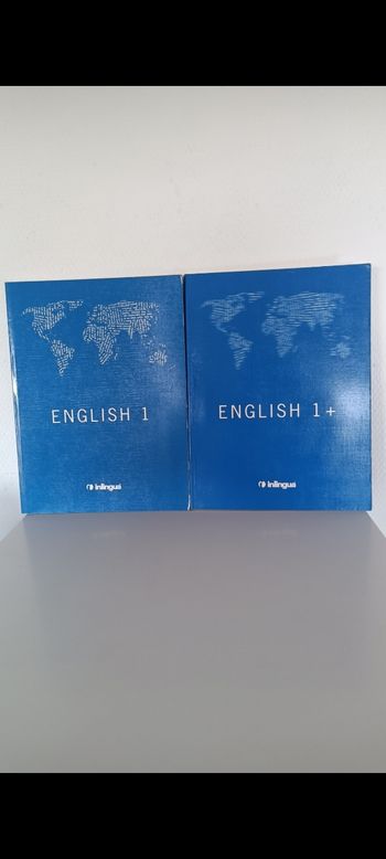 Lot de livres d'exercices d'anglais