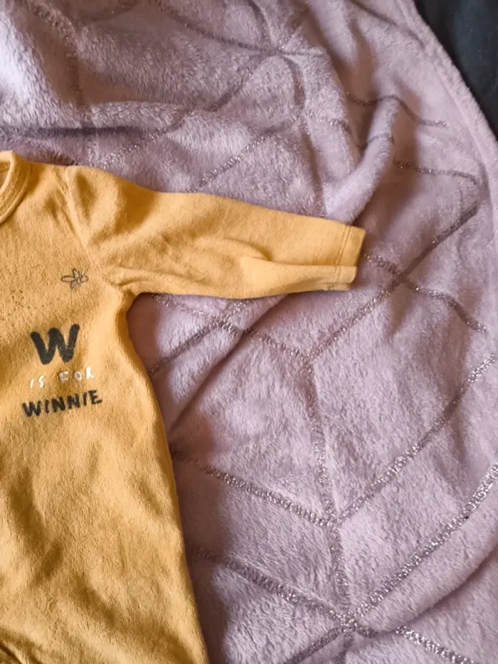Lot Winnie l'ourson 3 mois - photo numéro 4