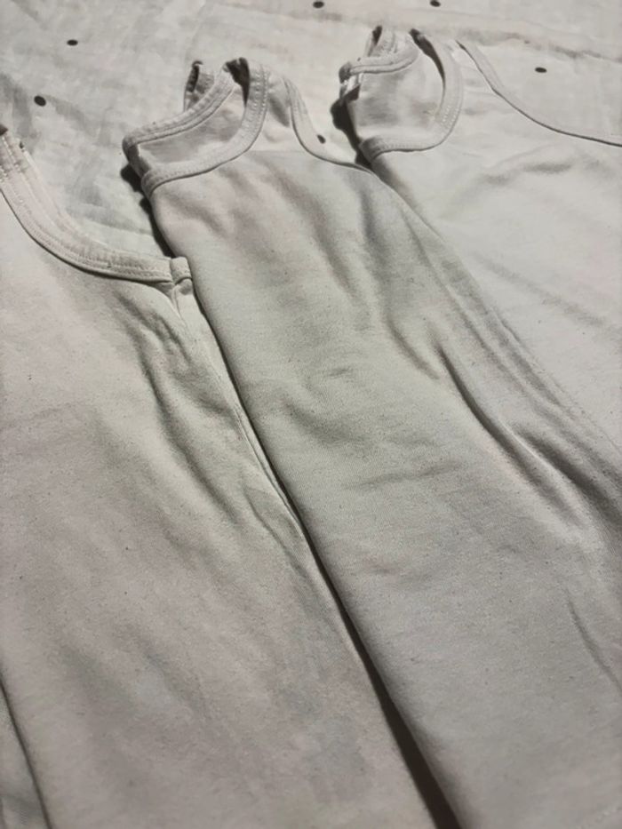 chemisettes - photo numéro 3