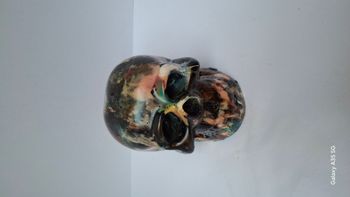 Superbe crâne multicolore