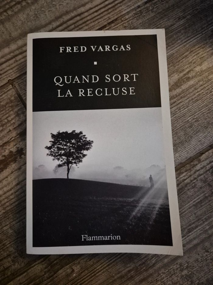 Lots livres fred Vargas - photo numéro 2