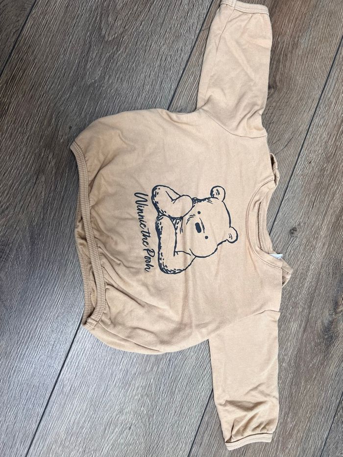 Ensemble Winnie l’ourson - photo numéro 5