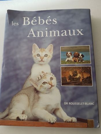 Les bébés animaux