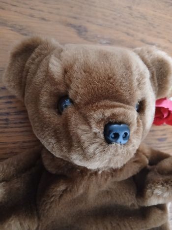 Marionnette ours Daniel Kolton 