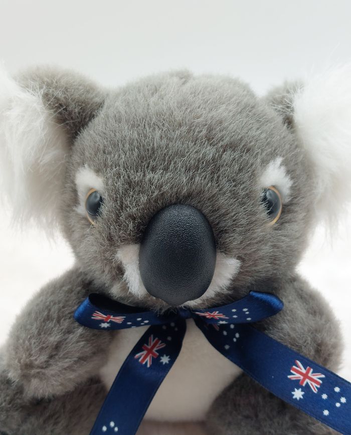 Petite peluche doudou koala gris blanc Australie Ascool 16 cm - photo numéro 5