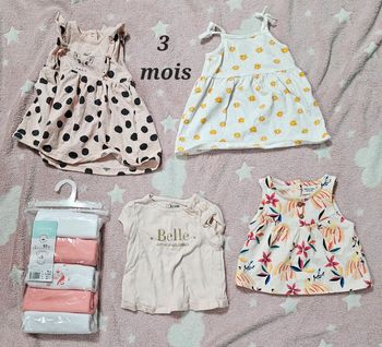 Lot de 5 bodies neufs manches courtes, 2 robes et 2 tee-shirts. 3 mois, printemps été