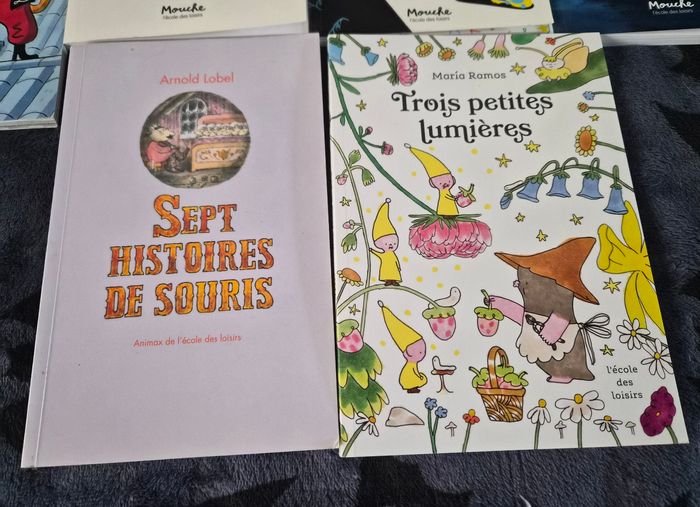 Lot 9 livres école des loisirs animax 7-9 ans - photo numéro 5