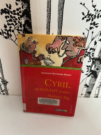 Livre Ciryl Bonhamy contre Madame Big