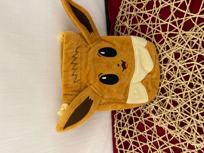 Pochette Pokemon Evoli