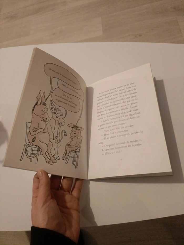 Livre je veux être un cheval - photo numéro 3