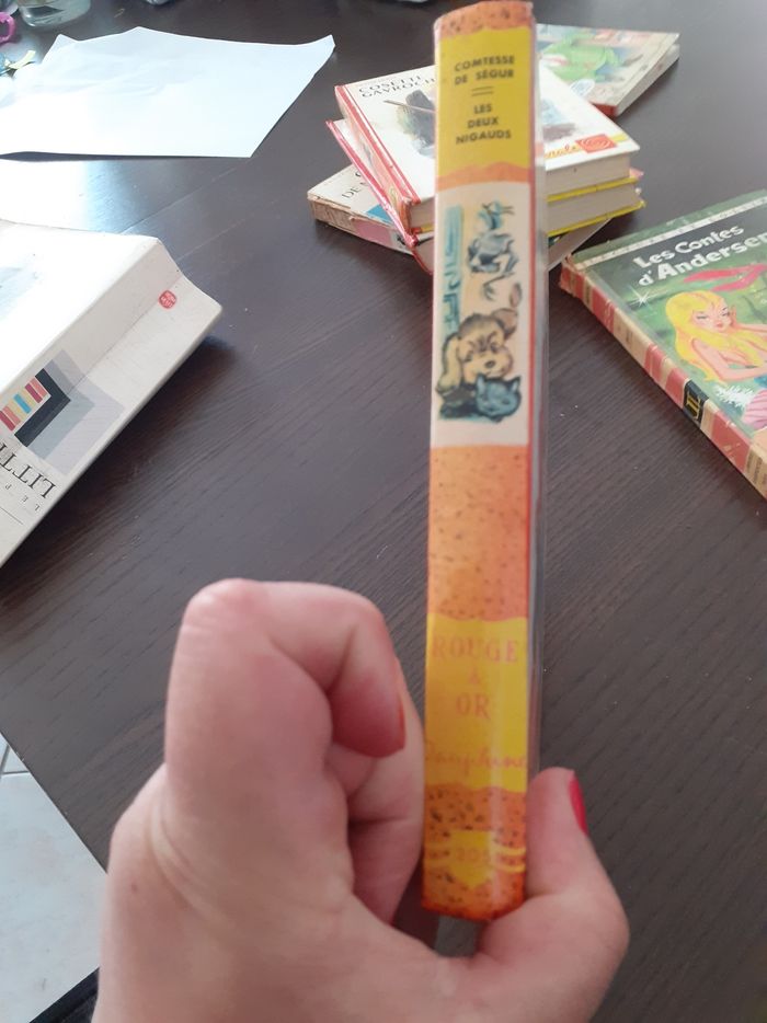 Les deux nigauds - photo numéro 3